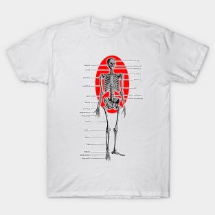 Skeleton Anatomy Identifiable Bones T-Shirt